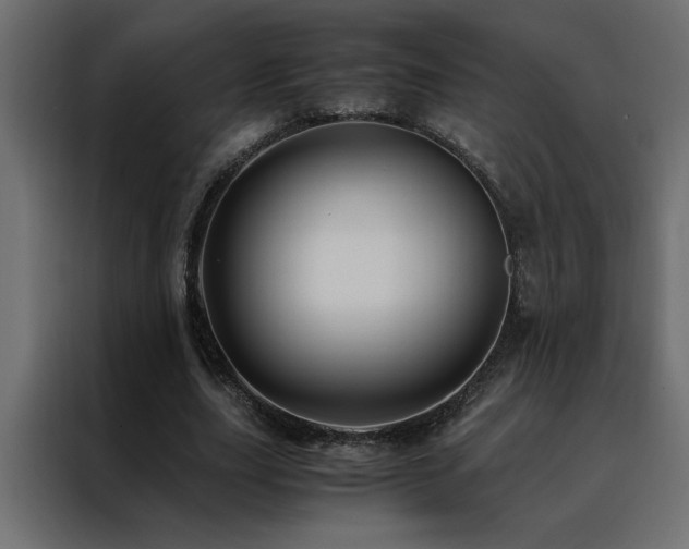 X0000088460631200705221343