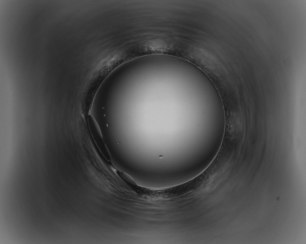 X0000088460639200705221343