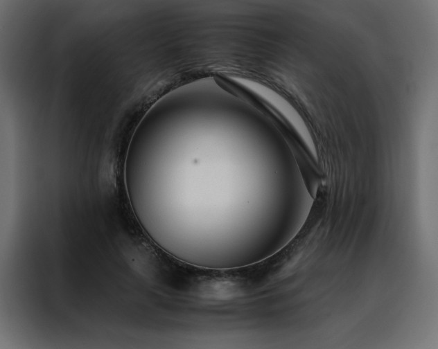 X0000088460643200705221343