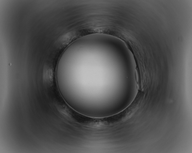 X0000088460646200705221343