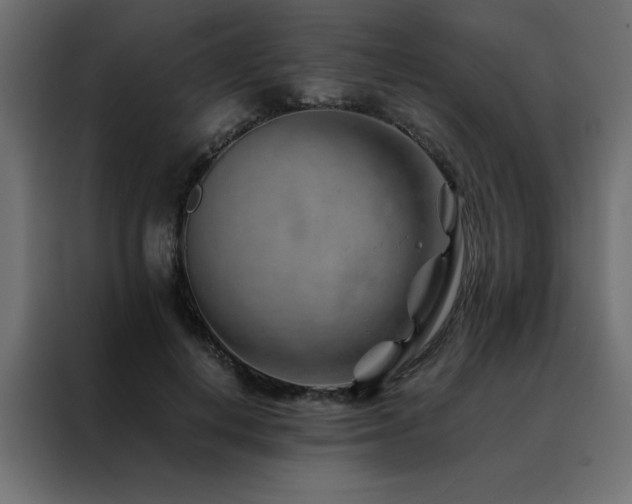 X0000088460648200705221343
