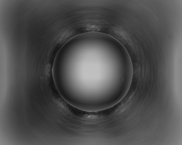 X0000088460649200705221343