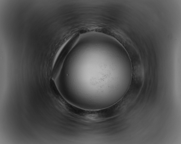 X0000088460653200705221343