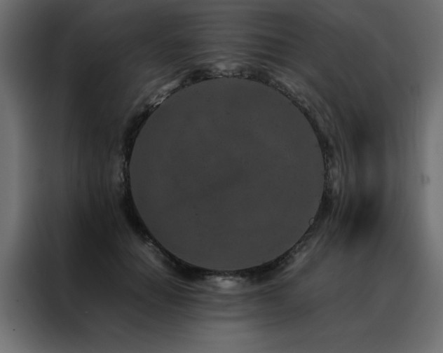 X0000088460654200705221344