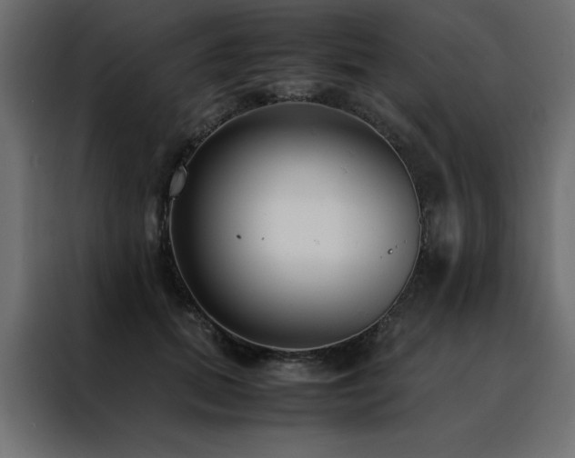 X0000088460655200705221344