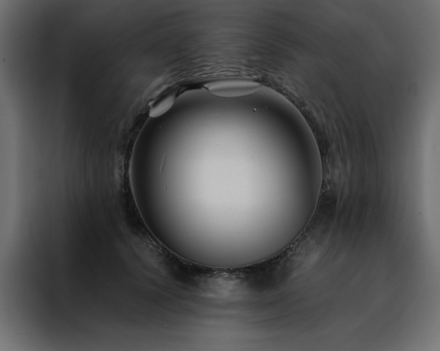 X0000088460656200705221344