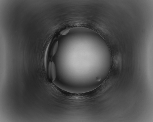 X0000088460657200705221344