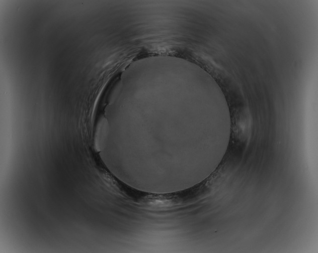 X0000088460658200705221344