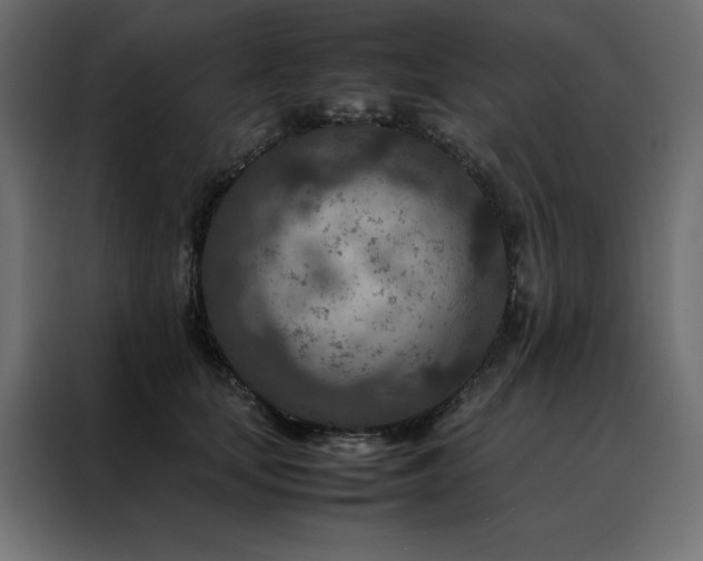 X0000088460659200705221344