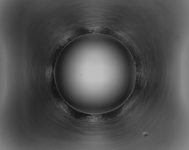 X0000088460660200705221344