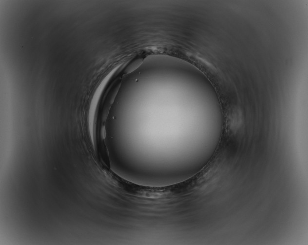 X0000088460661200705221344
