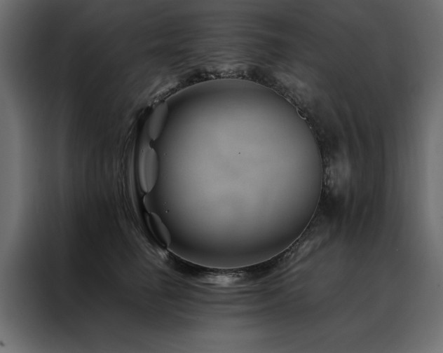 X0000088460662200705221344