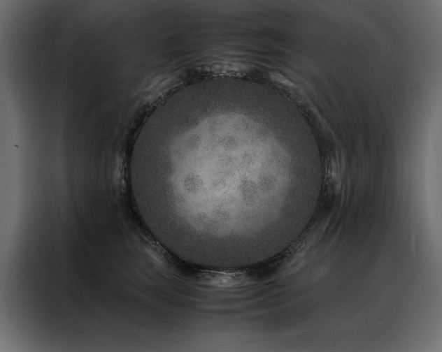X0000088460663200705221344
