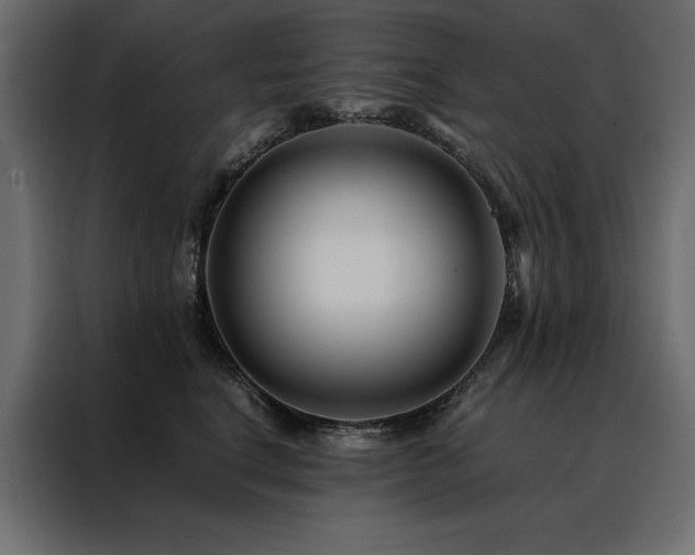 X0000088460664200705221344