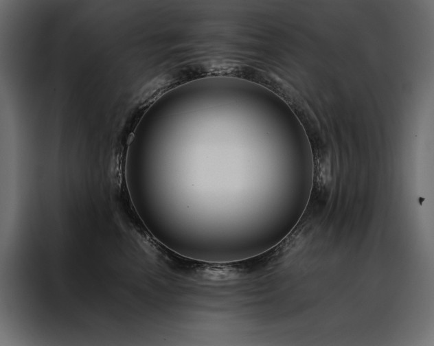 X0000088460666200705221344