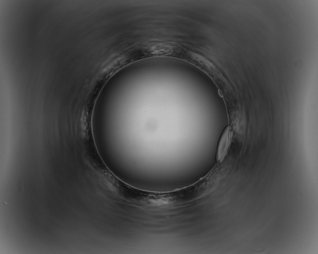 X0000088460667200705221344