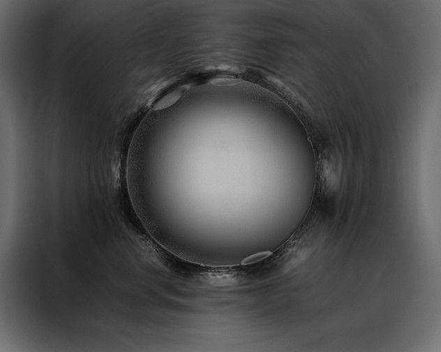 X0000088460668200705221344