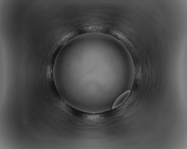 X0000088460669200705221344