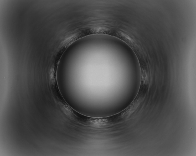 X0000088460670200705221344