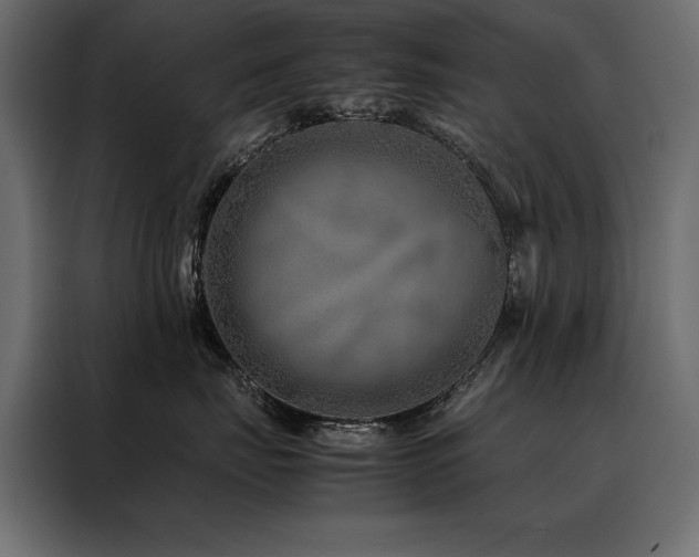 X0000088460671200705221344