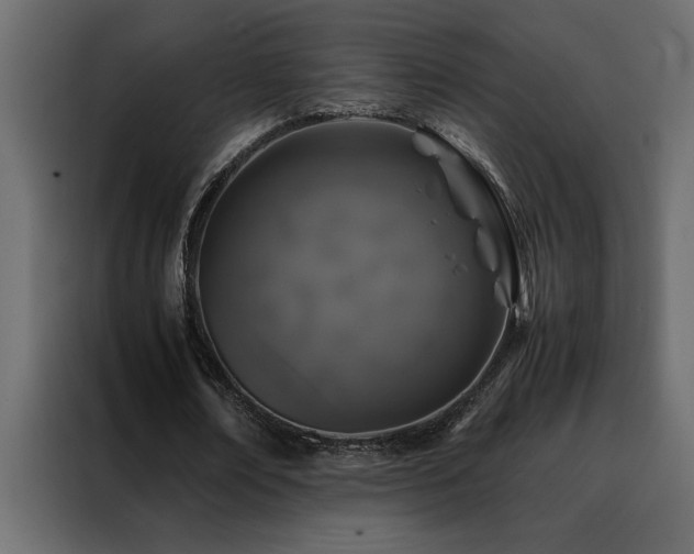 X0000088460674200705221343