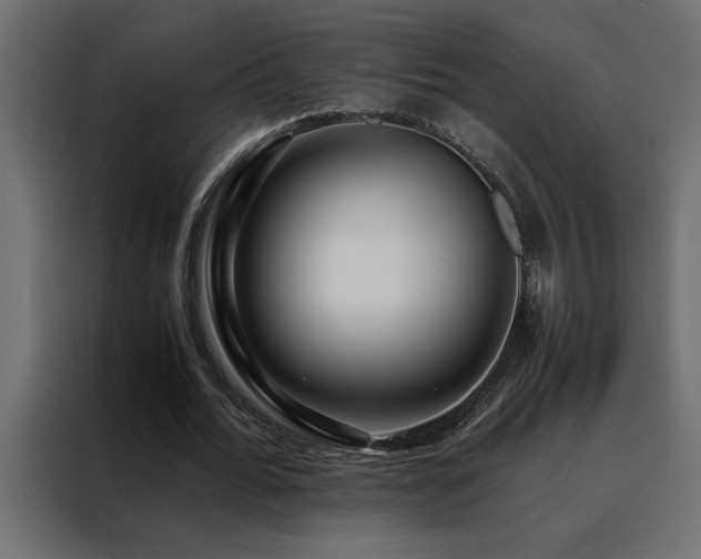 X0000088460676200705221343