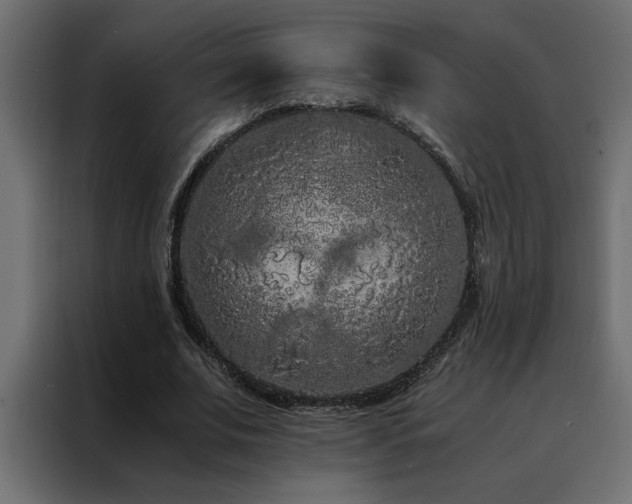 X0000088460679200705221343