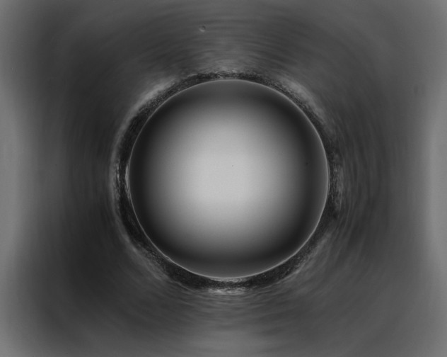X0000088460680200705221343