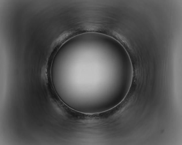 X0000088460682200705221343
