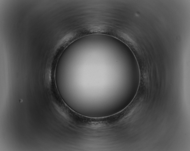 X0000088460686200705221343