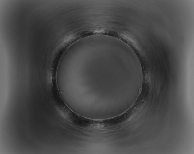 X0000088460687200705221343