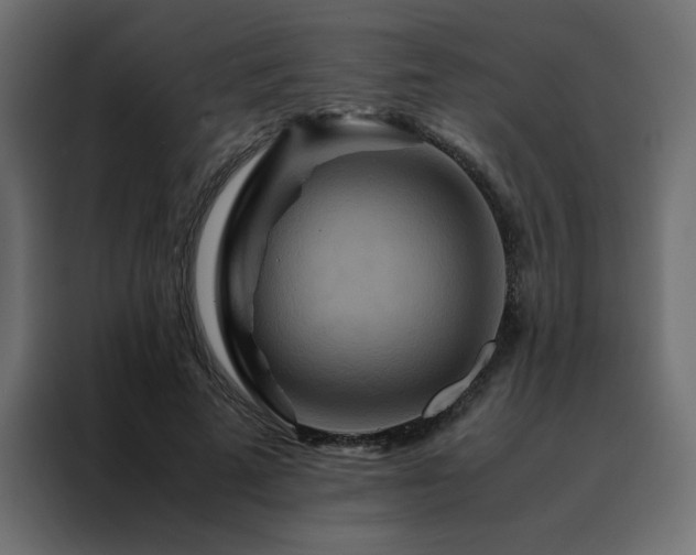 X0000088460689200705221343
