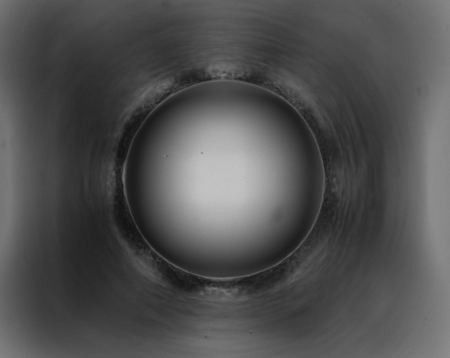 X0000088460690200705221343