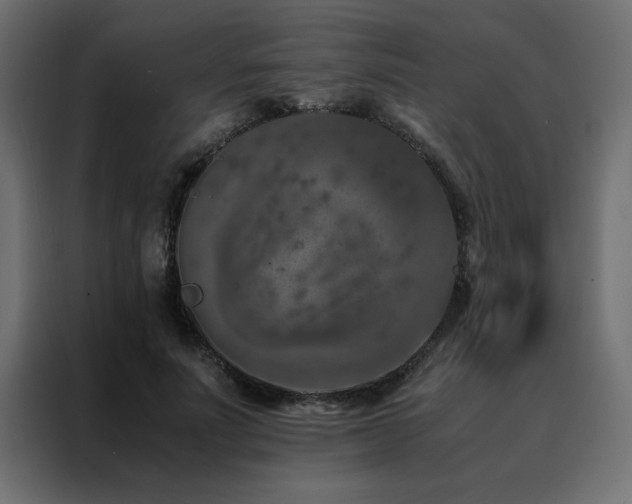 X0000088460691200705221343