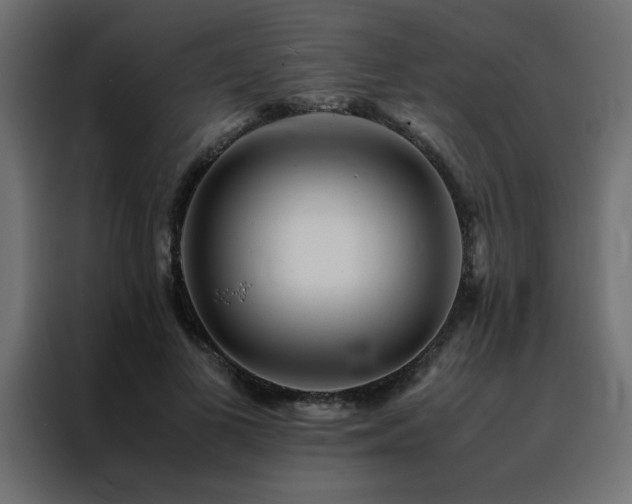 X0000088460693200705221343