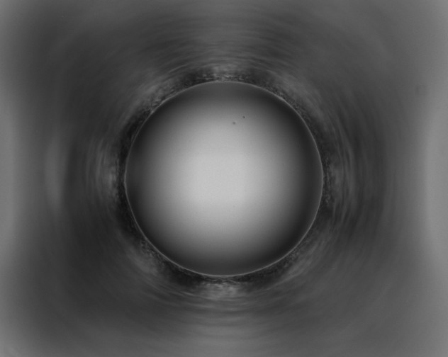 X0000088460698200705221343