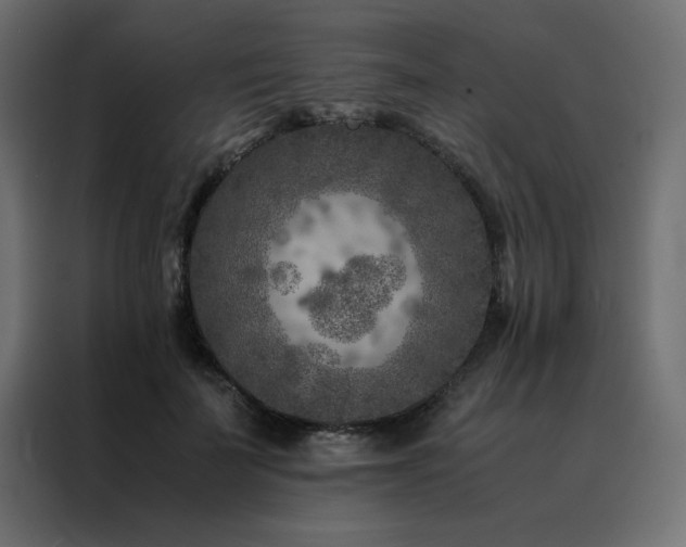 X0000088460699200705221343