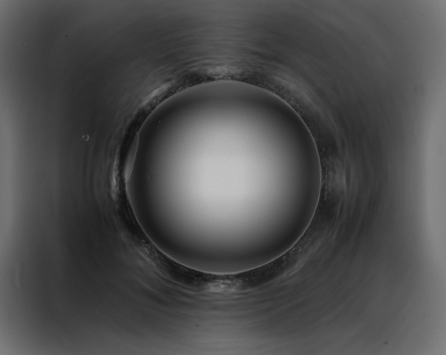 X0000088460700200705221343