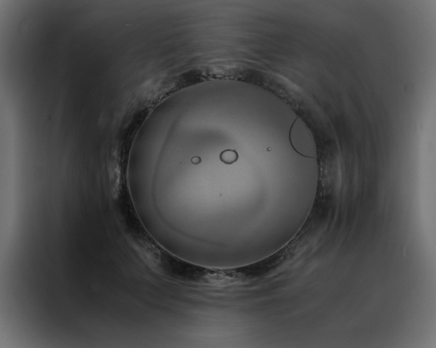 X0000088460703200705221343
