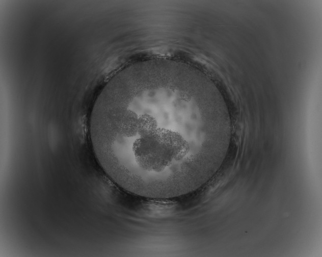 X0000088460707200705221343