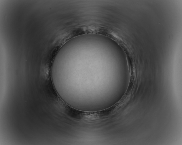 X0000088460709200705221343