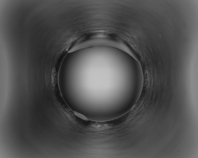 X0000088460712200705221343