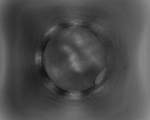 X0000088460720200705221343