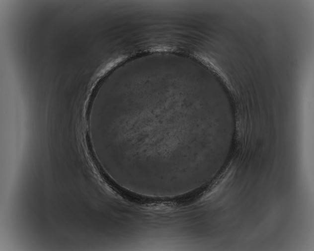 X0000088460721200705221342