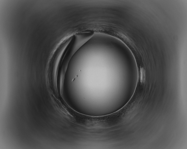 X0000088460723200705221342