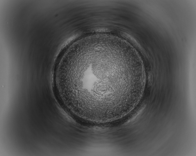 X0000088460725200705221342
