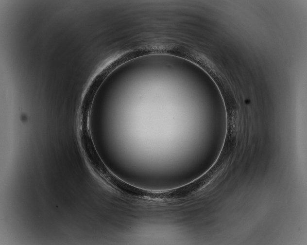X0000088460726200705221342