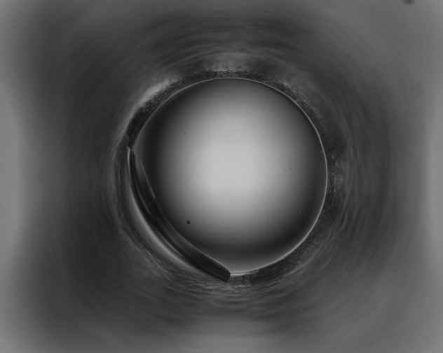 X0000088460727200705221342