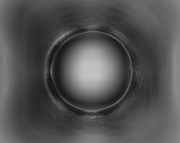 X0000088460728200705221342