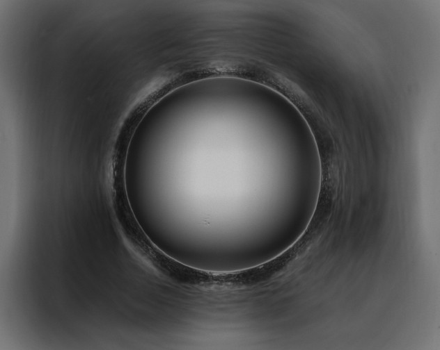 X0000088460730200705221342